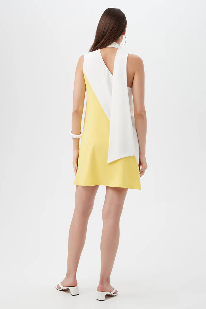 BUTTER YELLOW COLOR BLOCK DRESS