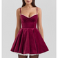 BURGUNDY VELVET MINI DRESS