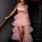 CHAMPAGNE TULLE LONG DRESS